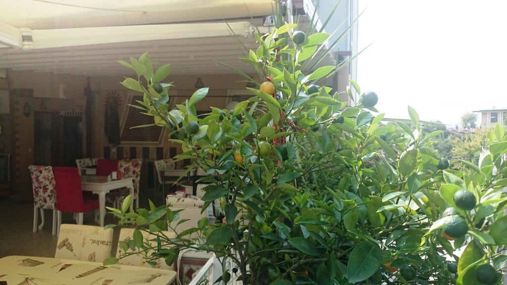 איסטמבול Esra Sultan Petrol Hotel חדר תמונה